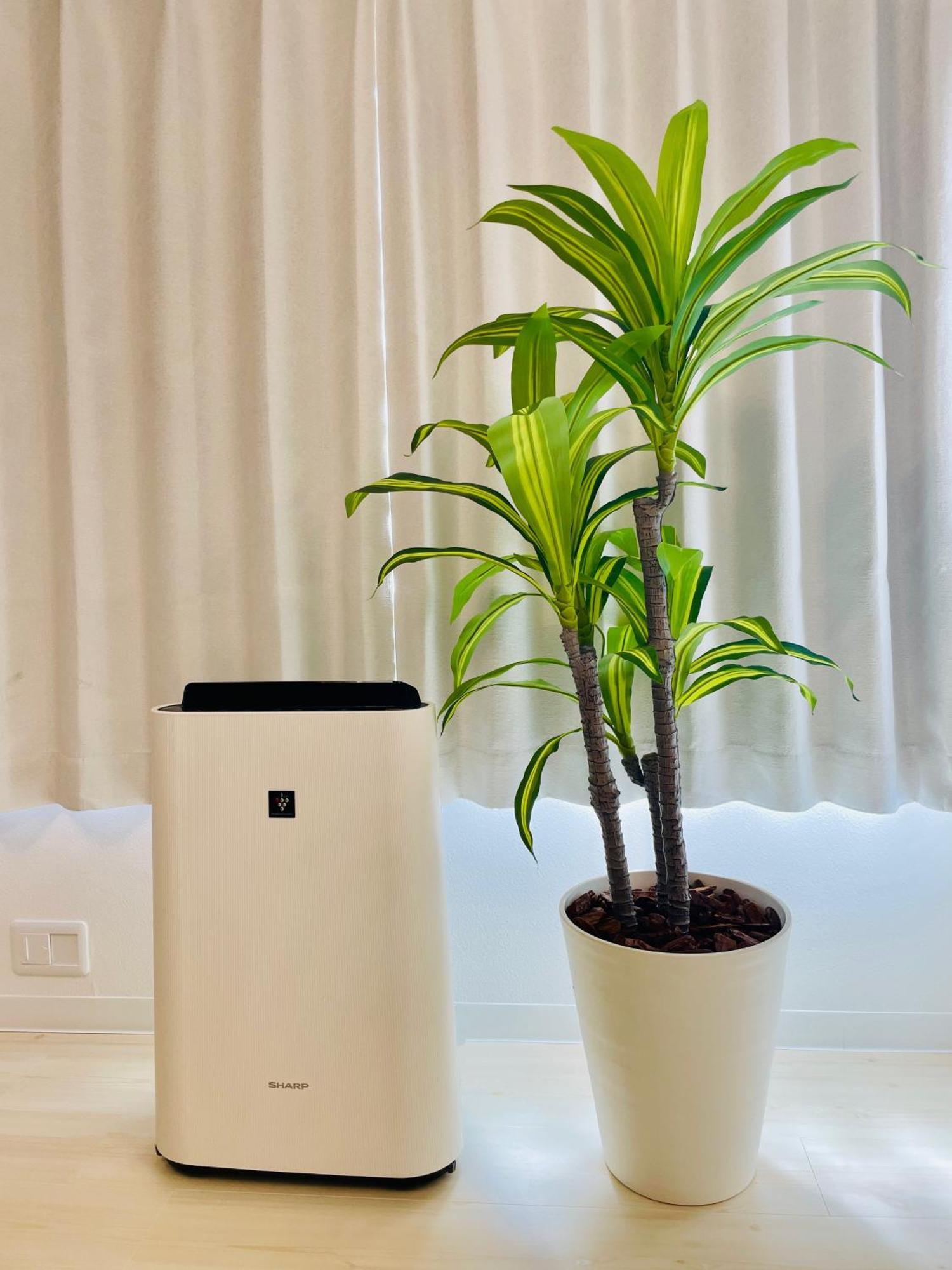 Ferienhaus 晴空民宿 Sora House 晴空塔徒步圈 整栋出租 Präfektur Tokio
